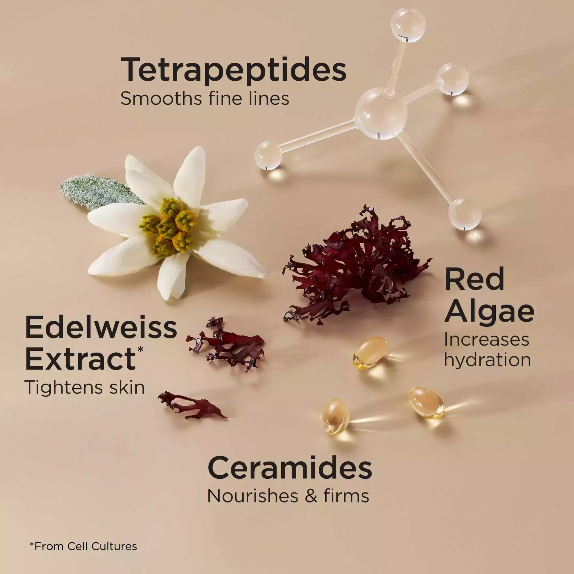 Advanced Ceramide Lift and Firm Day and Night Cream Set - Image 8