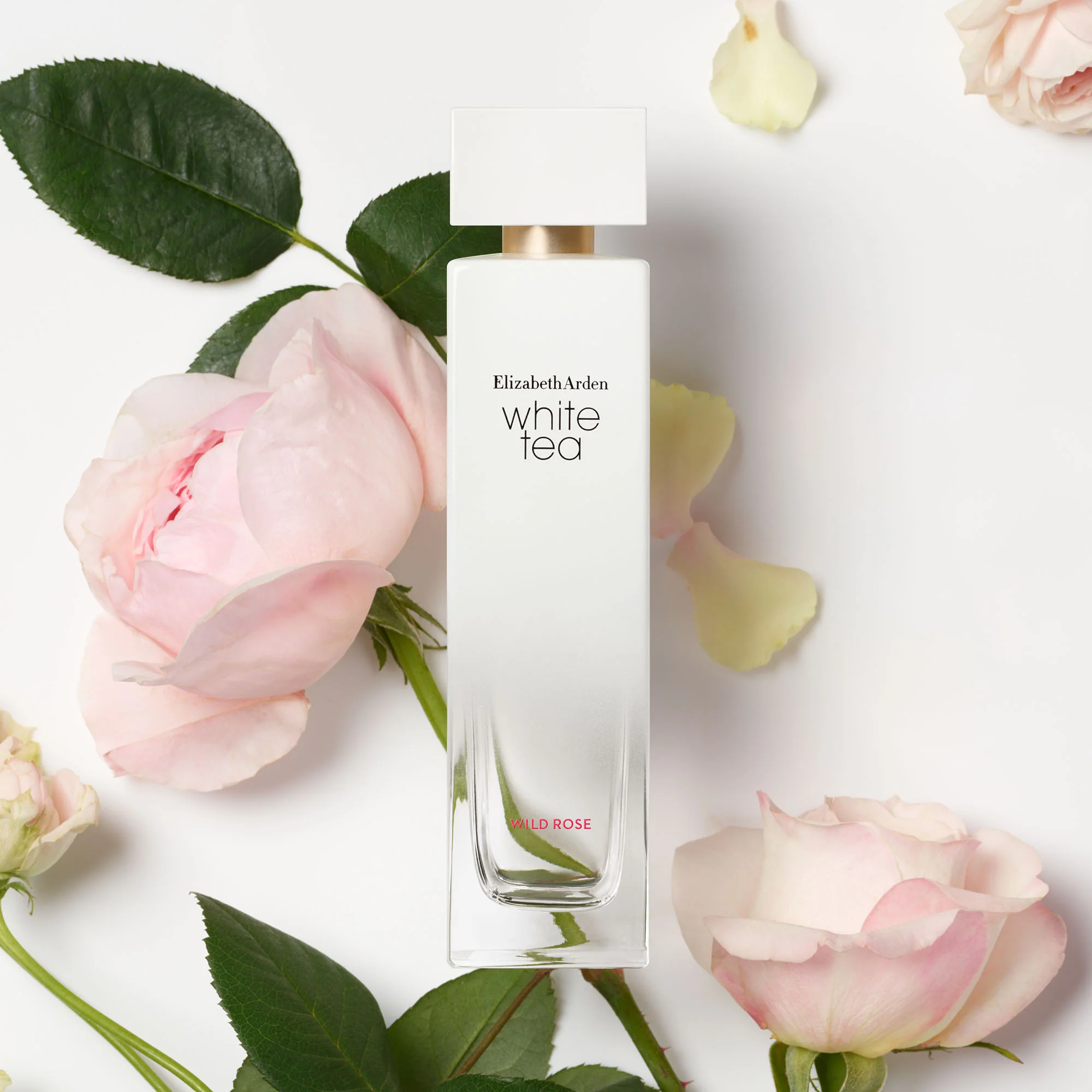 White Tea Wild Rose Eau De Toilette Spray - Image 3