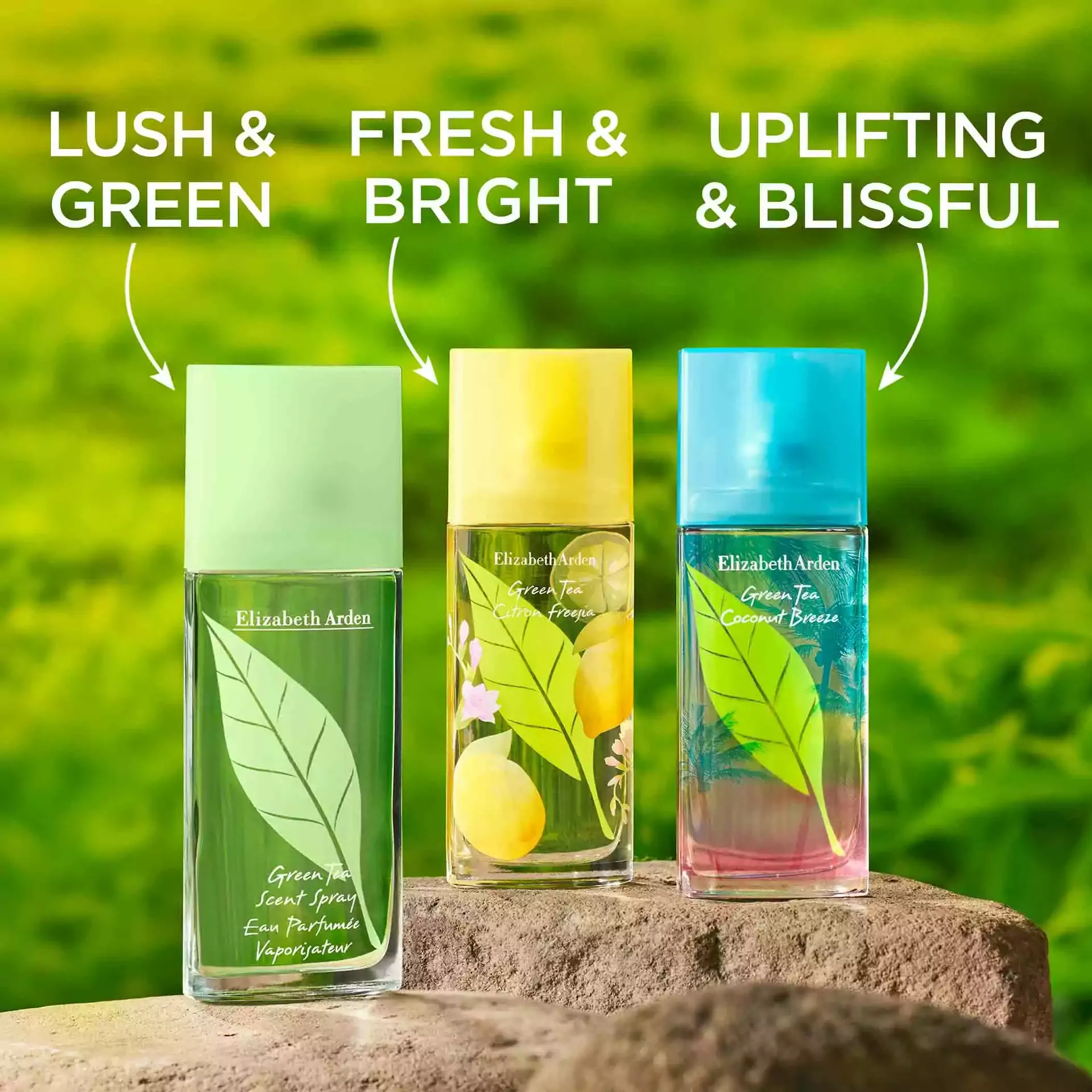 Green Tea Scent Spray - Image 11