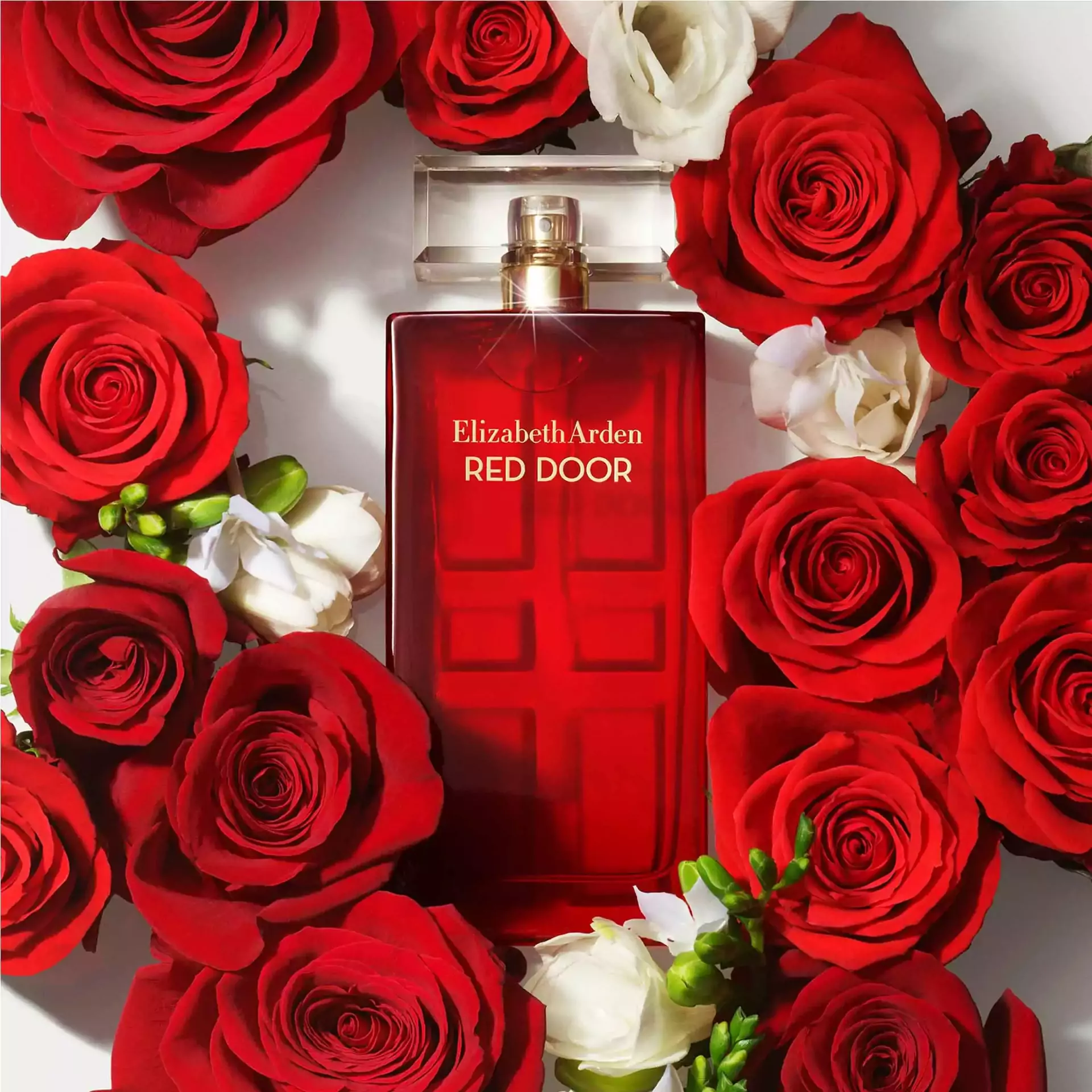 Red Door Eau de Toilette Spray - Image 8