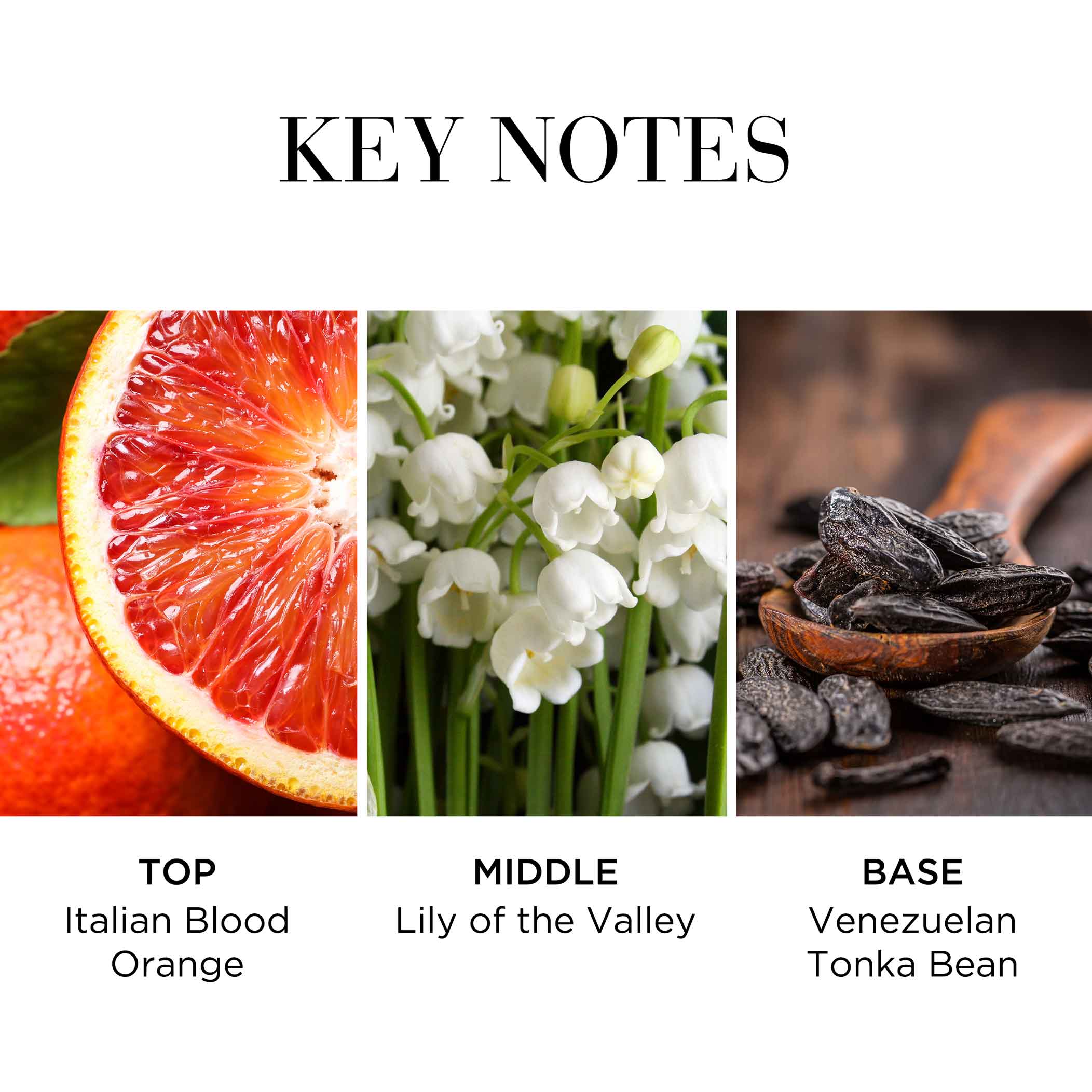 White Tea Eau Fraiche Eau De Toilette - Image 7